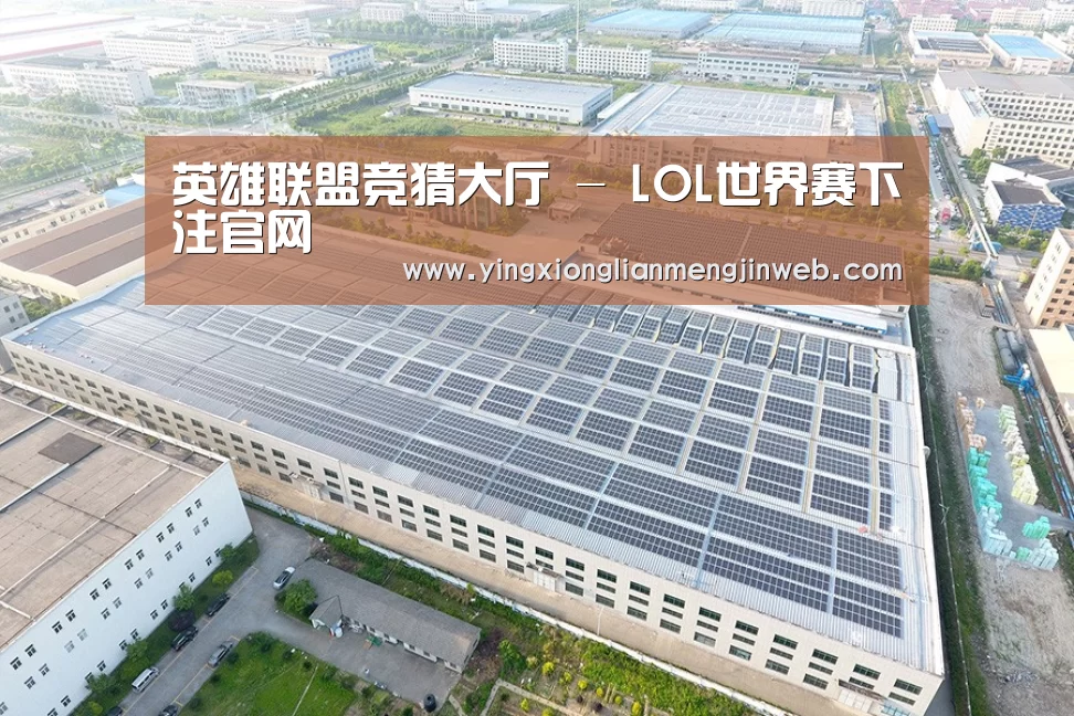 案例展示一
