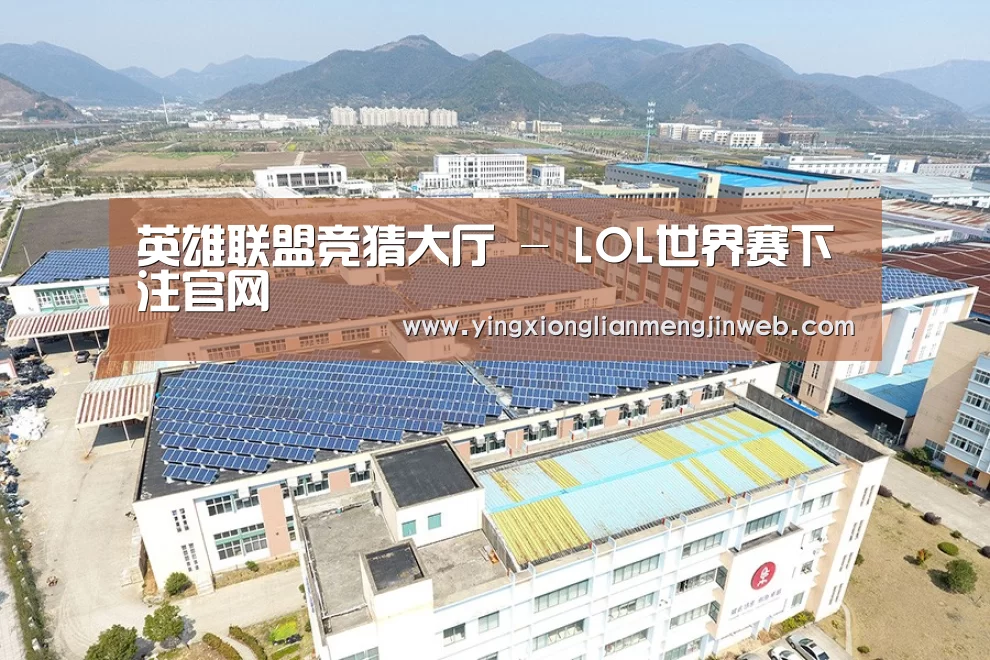 案例展示二