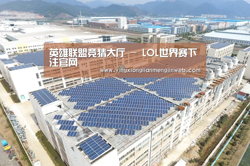 案例展示二