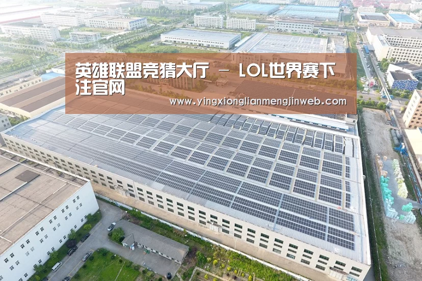 案例展示二