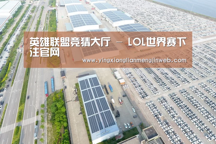 案例展示三